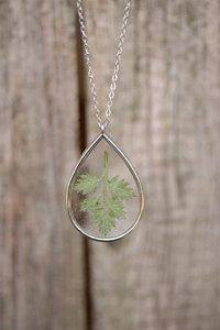 Mugwort Leaf Suspended in Teardrop Shaped Resin Pendant