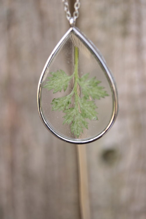 Mugwort Leaf Suspended in Teardrop Shaped Resin Pendant