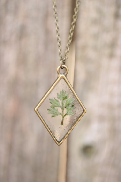 Mugwort Leaf Suspended in Diamond Shaped Resin Pendant