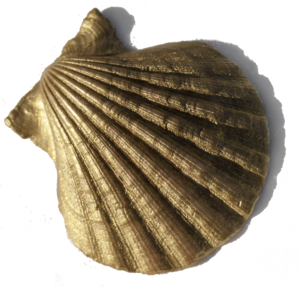 the Golden Schelle