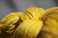 Deep Gold Weld Yellow Worsted Weight Naturally Dyed Wool Knitting or Crochet Yarn