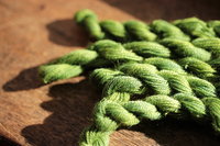 Bright Green Plant Dyed Wool Thread/Yarn for Embroidery, Tapestry, Lucet, Tablet Weaving, Etc