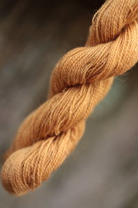 Ginger Pale Tan Lichen Dyed Wool Thread 
