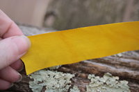 Naturally Dyed Bright Yellow ~1" Silk Ribbons (Dyed With Persian Berries)