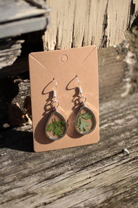 Mugwort Earrings - Real Leaves Suspended In Clear Resin