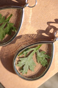 Mugwort Earrings - Real Leaves Suspended In Clear Resin