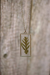 Chamaecyparis Leaf Suspended in Rectangular Resin Pendant