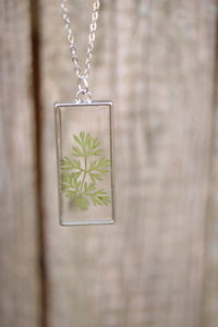 Wild Carrot Leaf Suspended in Rectangular Resin Pendant