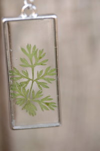 Wild Carrot Leaf Suspended in Rectangular Resin Pendant