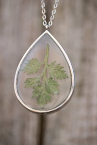 Mugwort Leaf Suspended in Teardrop Shaped Resin Pendant