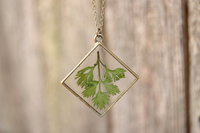 Mugwort Leaf Suspended in Diamond Shaped Resin Pendant