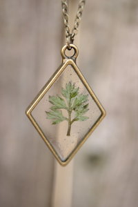 Mugwort Leaf Suspended in Diamond Shaped Resin Pendant