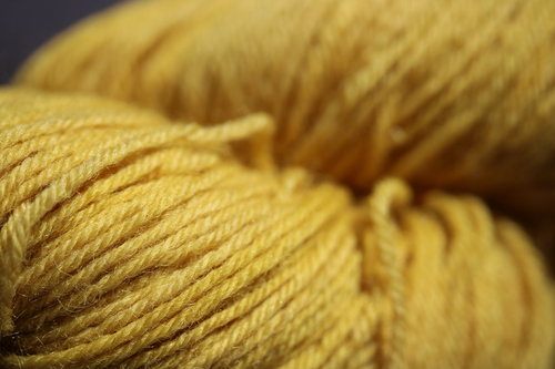 Deep Gold Weld Yellow Worsted Weight Naturally Dyed Wool Knitting or Crochet Yarn