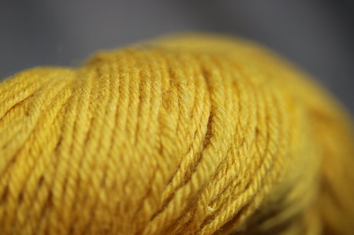 Deep Gold Weld Yellow Worsted Weight Naturally Dyed Wool Knitting or Crochet Yarn
