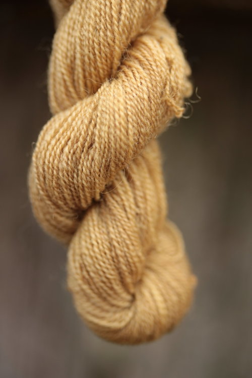 Blonde Mushroom Dyed Wool Thread Yellow-Beige