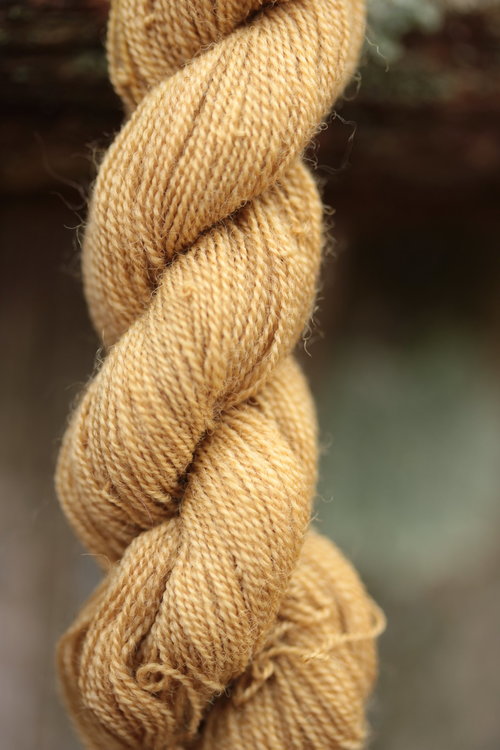 Blonde Mushroom Dyed Wool Thread Yellow-Beige