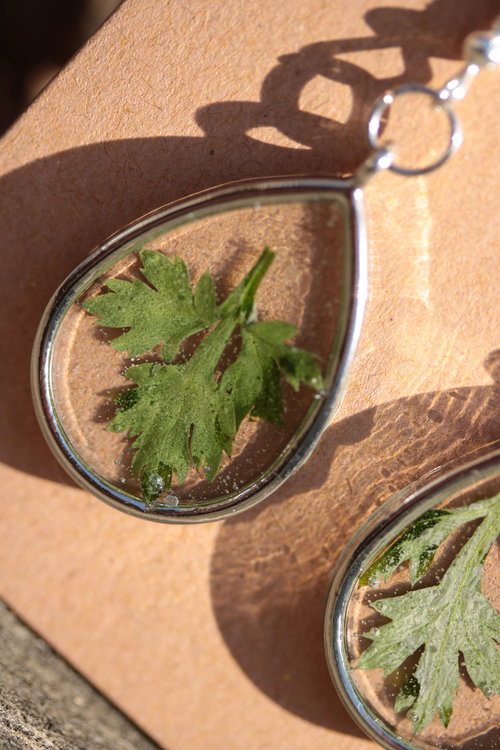 Mugwort Earrings - Real Leaves Suspended In Clear Resin