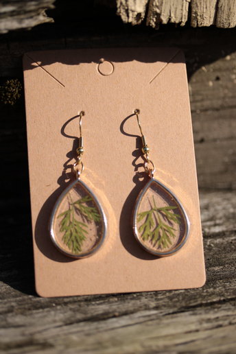 Wild Carrot Foliage Earrings - Real Leaves Suspended In Clear Resin