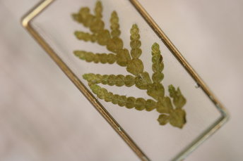 Chamaecyparis Leaf Suspended in Rectangular Resin Pendant